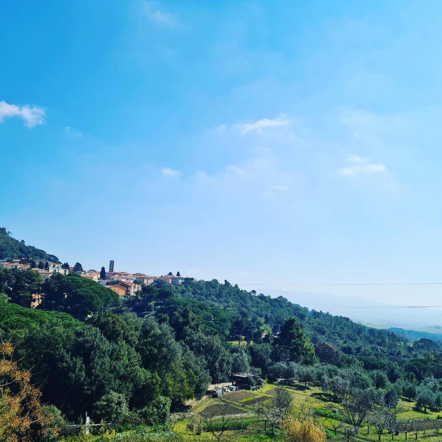 Casa Vacanze Le Rose Villa Gabbro Eksteriør billede